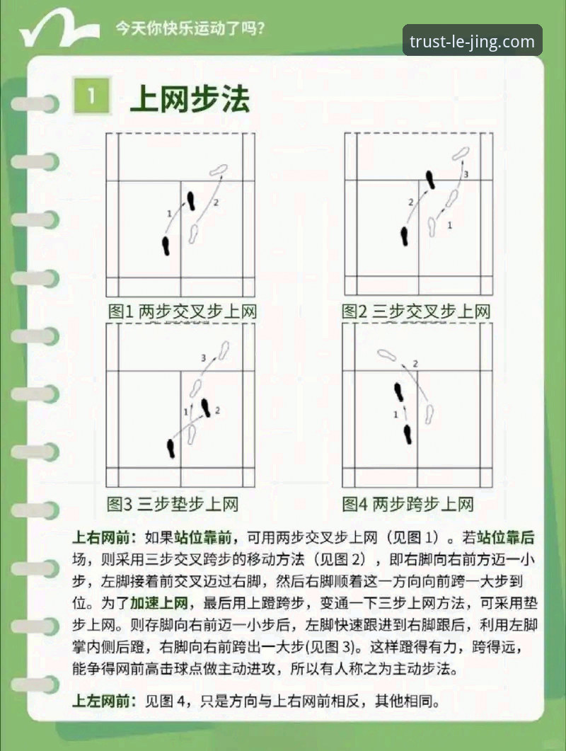 乐竞体育玩法安装教程 为什么说乐竞体育玩法安装教程是新手必备指南?