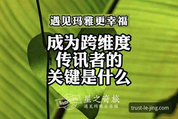 乐竞体育安全吗怎么样 3个关键维度告诉你乐竞体育安全吗怎么样:老用户亲测7个月的真实体验